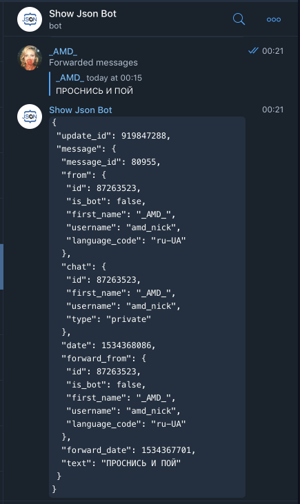 telegram_show_json_bot